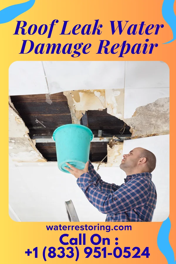 Roof Leak Water Damage Repair in Inverness Highlands North, FL